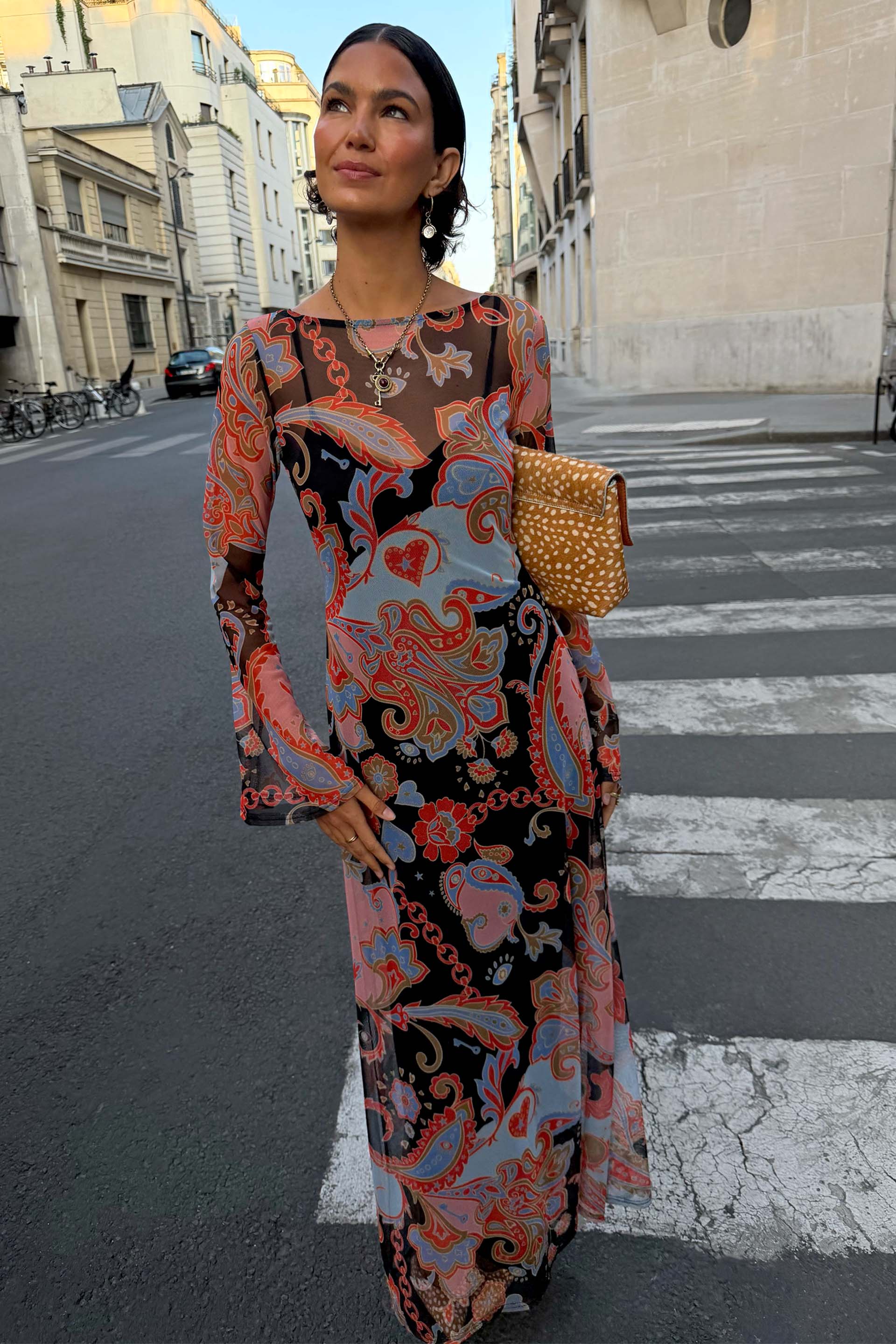 Paisley Aria Mesh Dress